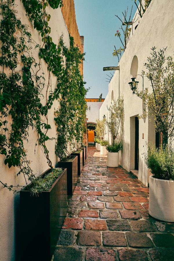 Mesón Hidalgo Hotel San Miguel de Allende Exterior foto